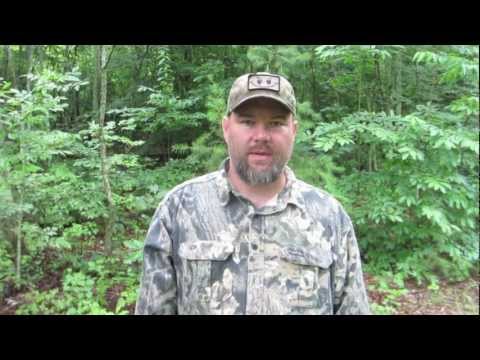 Tracking Down Adventure With Nature Reliance School : Tracking/ Scout Intensive Class