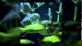 Bass Communion/Muslimgauze: Two