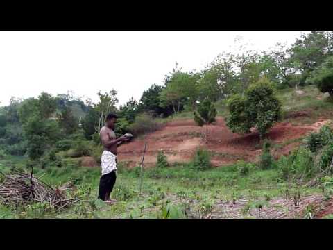 Sava lalagna -Tipy Rano