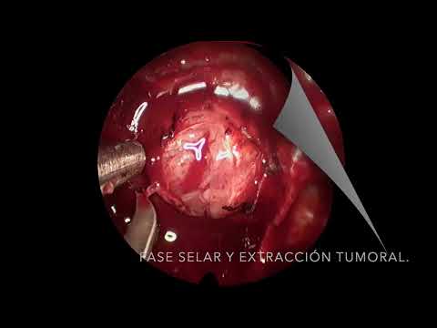 Alejandro Enrique Coronado Rosales-9