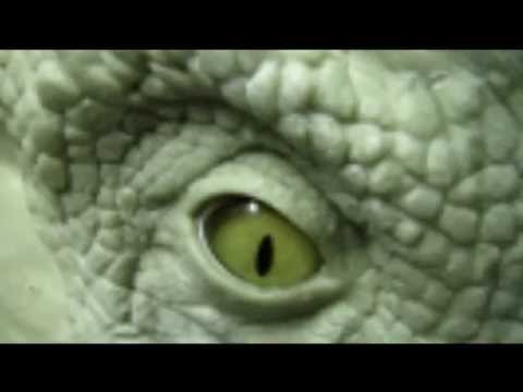 Dinosauri - Horror Experimental Music 2014