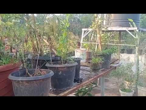 Thankful and grateful to Nature.. 🙏❤️🙏