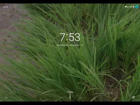 Daily Wallpapers - Auto Change Video