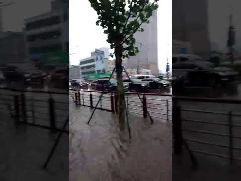 Notícias de turismo "Tufão nº 18 (ciclone tropical) se aproxima de Dalian" (perto da Praça da Vitória)