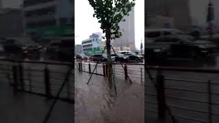 観光ニュース「台風18号(熱帯低気圧)が大連に接近」(勝利広場付近))