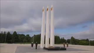 Цирк в комсомольске на амуре 2020 август