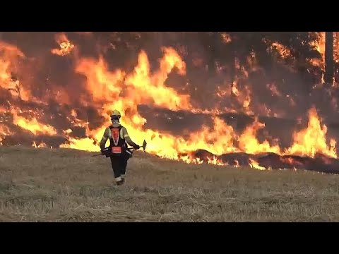 Waldbrände wüten in Spanien - Feuer in Katalonien außer Kontrolle