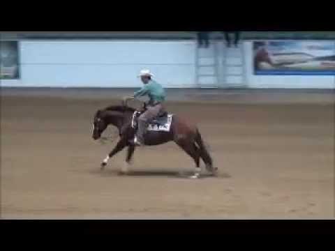 Kiss My Guns Open Runs