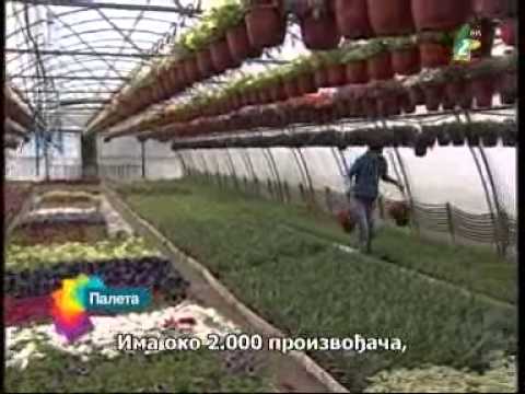 Paleta 14. maj 2014. - Палета 14. май 2014.