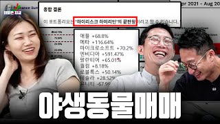 제미나이가 충격받은 니니 포트폴리오