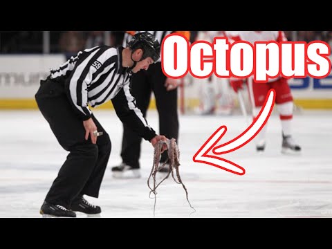 Craziest Animal Interference in Sports #4