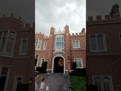 ♡ Only going places that spark joy~! ♡ Disney World ♡ #joy #joyful #disneyworld #disney #disneylive