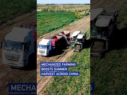Mechanized farming boosts summer harvest across China#coolchina