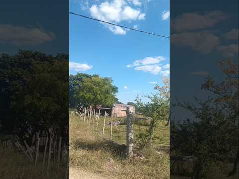 Araujo , departamento de Paysandú , Uruguay , videitos cultura uruguaya 🇺🇾 .