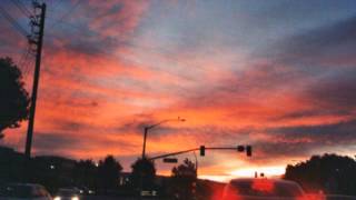 The Orchids - Obsession No. 1