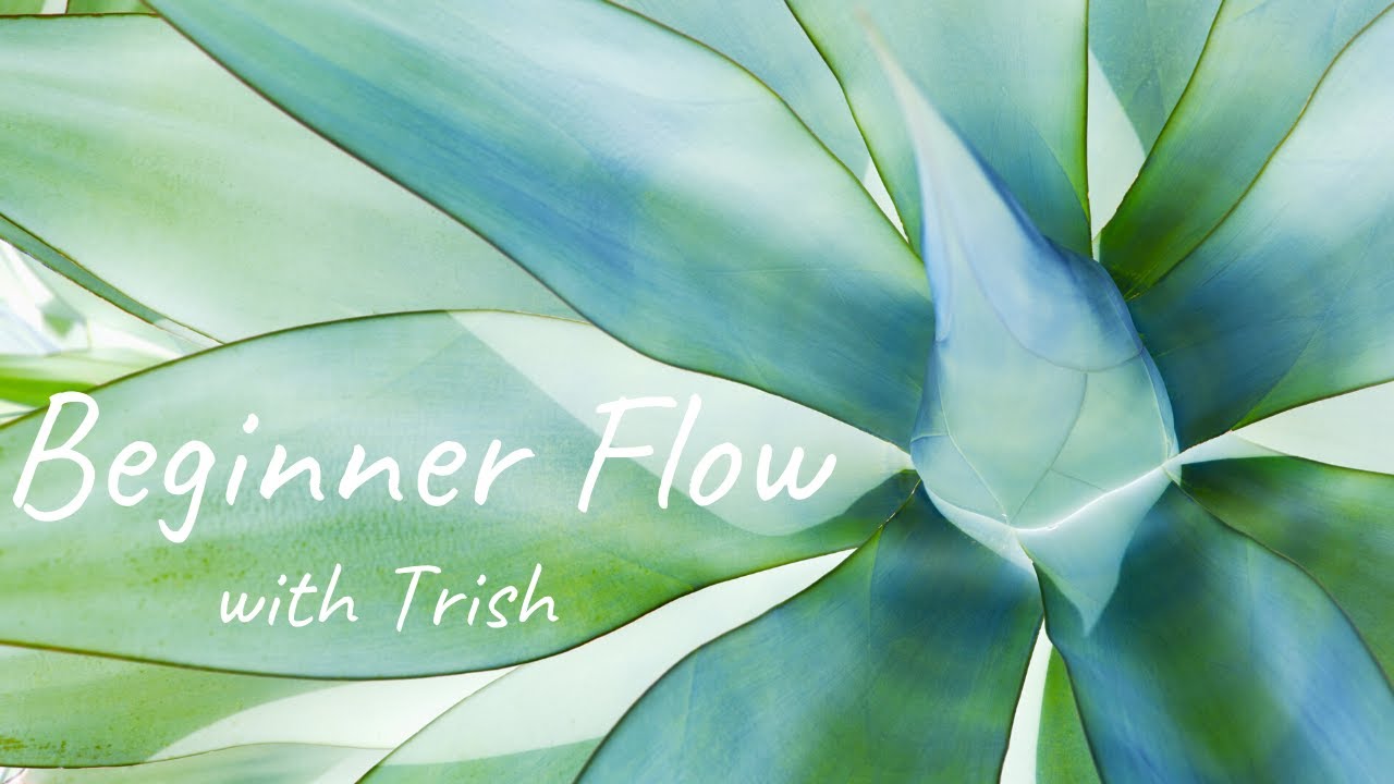 Beginner Flow with Trish