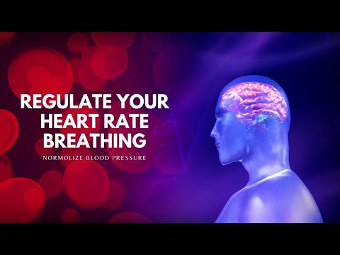 Medulla Oblongata | Regulate Your Heart Rate Breathing and Blood Pressure Naturally | Binaural Beats