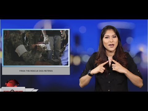 Frida the Rescue Dog retires (ASL - 6.26.19)