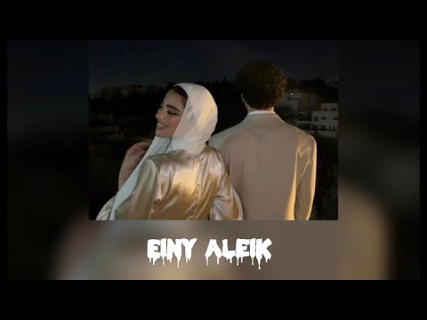 Nancy ajram - einy aleik | English lyrics slowed
