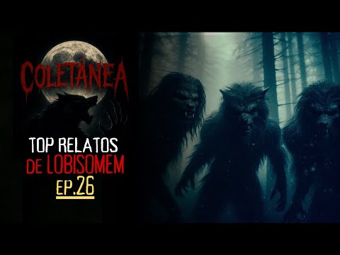 TOP RELATOS DE LOBISOMEM EP 26 COLETÂNEA