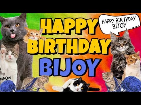 Happy Birthday Bijoy! Crazy Cats Say Happy Birthday Bijoy (Very Funny)