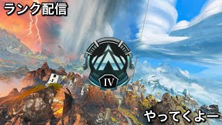 【Apex Legends】おはようございます朝活エーペックス。プラチナⅣから→カジュアル