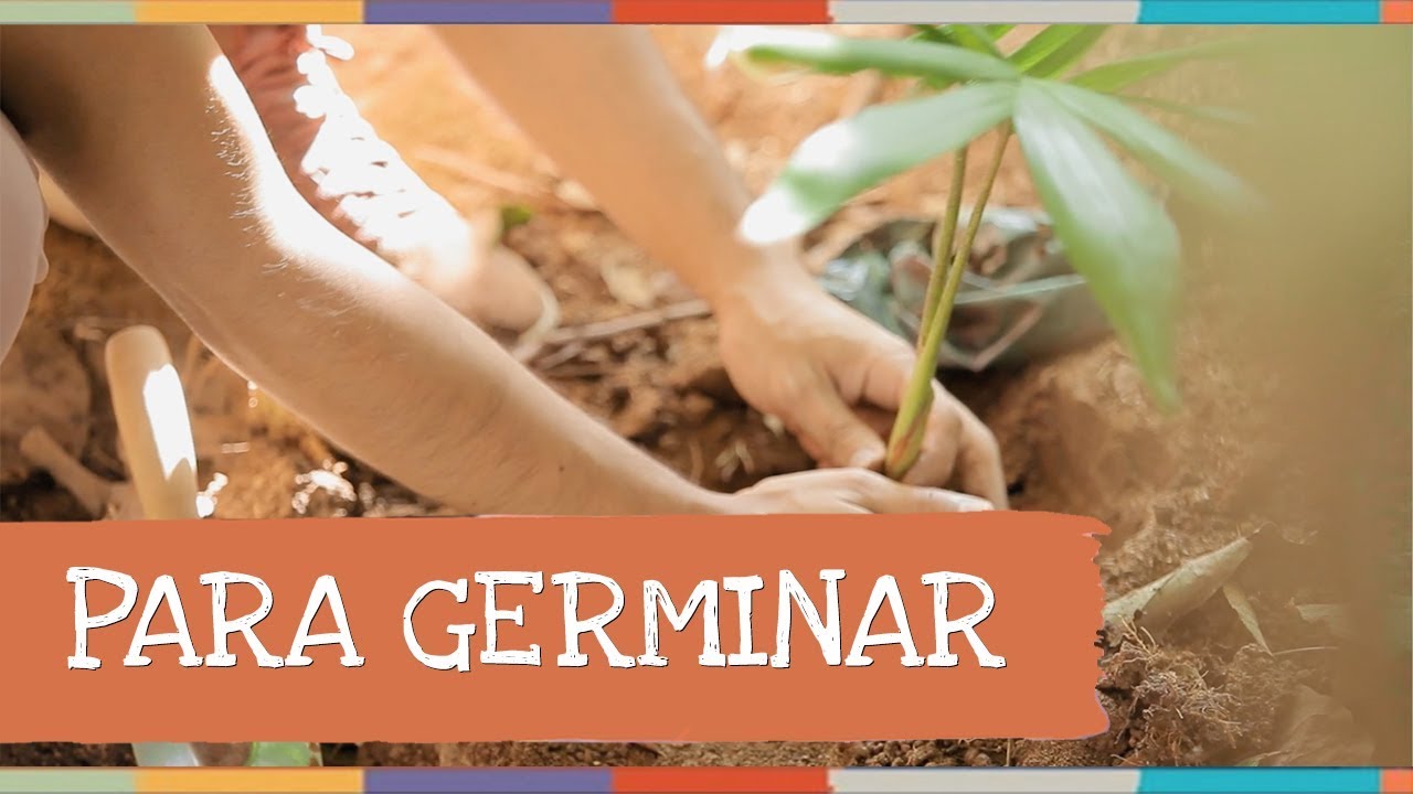 Palavra Cantada |   Para Germinar