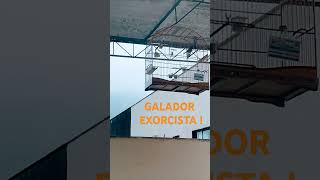 FUTURO REPRODUTOR 