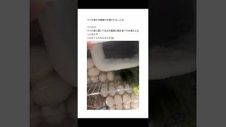 【2ちゃんねる】家の冷蔵庫が凍り漬けになったwww【アフレコ】