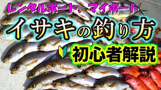レンタルボート、マイボートでのイサキの釣り方を解説します【天秤フカセ釣り】