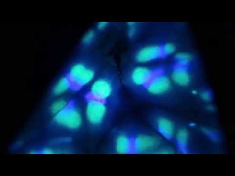 LIGHTdoscope | Interactive Kaleidoscope