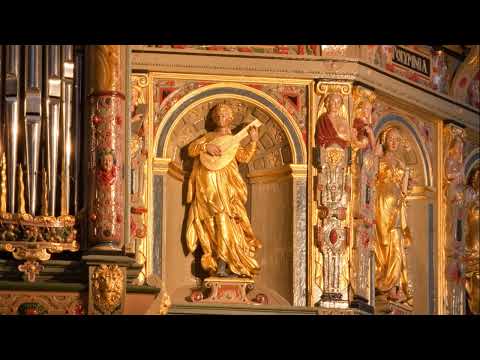 Meditation über „Das Volk, das noch im Finstern wandelt“ EG 20