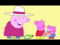 Sea Treasure Peppa Pig Cartoons For Kids