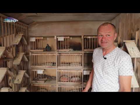 National NPO winners 2018: Bergerac - Brügemann Brothers, Assendelft