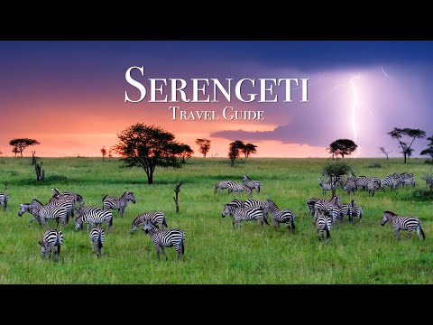 How To Visit The Serengeti - African Safari Travel Guide