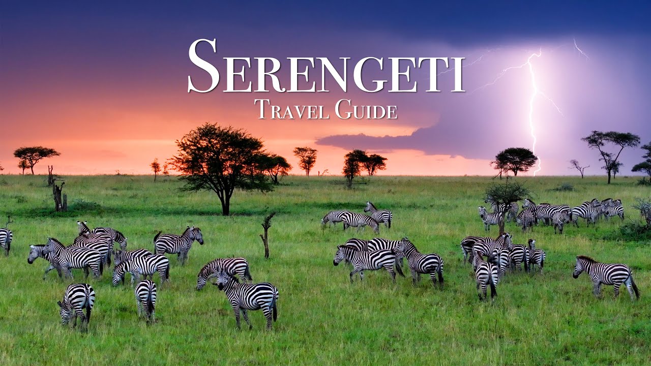 serengeti safari tours video