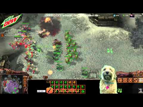 The Best TvZ I Have Ever Played