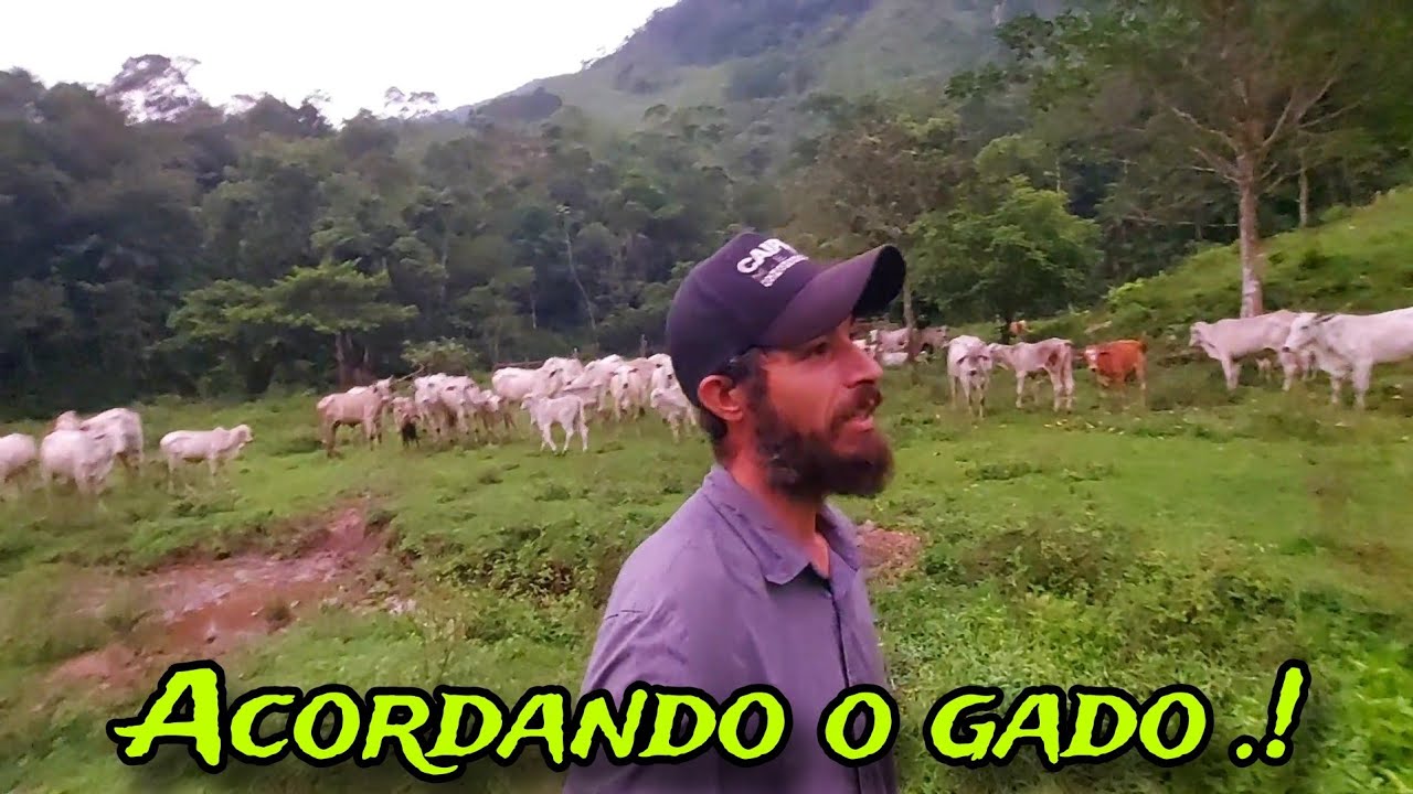 O DIA HOJE JA COMEÇOU AGITADO.! MUITA COISA ACONTECEU.!!