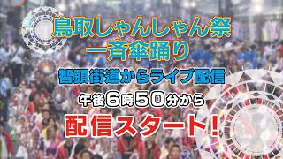 Download lagu 第62回鳥取しゃんしゃん祭一斉傘踊り 智頭街道LIVE mp3 Download lagu 第62回鳥取しゃんしゃん祭一斉傘踊り 智頭街道LIVE mp3