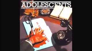 The Adolescents - Into The Fire