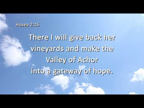 Sparrows Nest at The Abbey - Sparta, WI - Party Venue