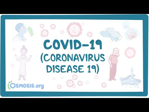Beating Coronavirus Flattening the Curve Raising the Line