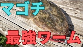 【マゴチ最強ワームはパワーシャッド！】誘い方も超簡単です