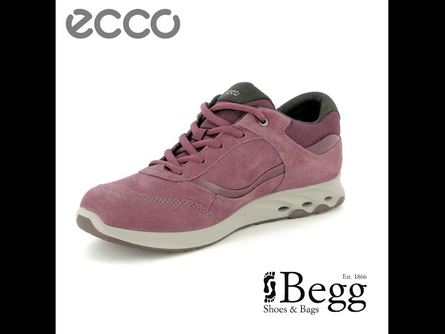 ecco wayfly
