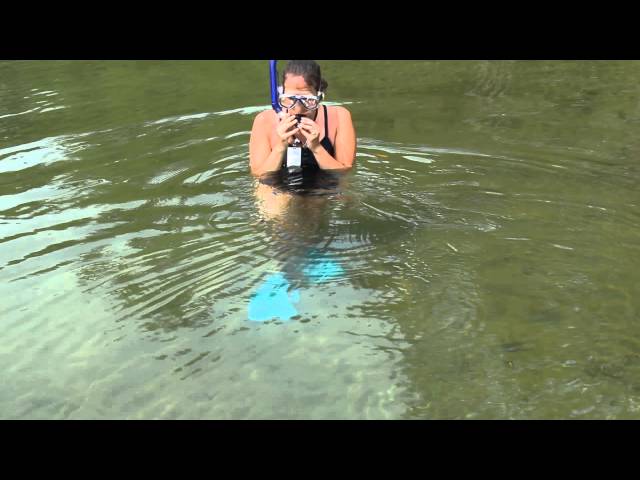 How to snorkel