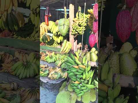 Presidente Tancredo Neves