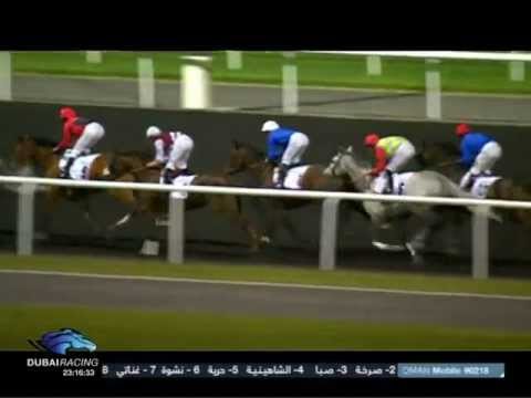 23.02.2012 Meydan (Dubai UAE) 2.Race Swaidan Trading Company - Peugeot - Handicap 2.200 m