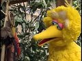 Sesame Street Kids Favorite Songs DVD Preview 2001