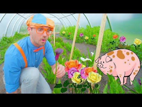 , title : 'Blippi Farm Tour | Farm Animals and Vegetables for Kids'