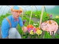 Blippi Farm Tour Farm Animals And Vegetables For Kids
